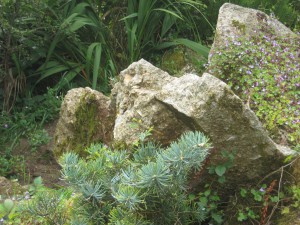 A Cornish rock garden by Tim Lawrence