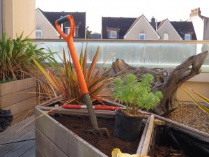 Fork in soil in roof-garden planter