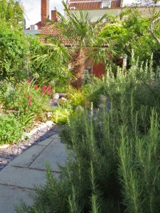 A town garden reinvention by Tim Lawrence