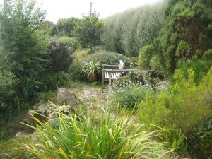 A rock garden by Tim Lawrence