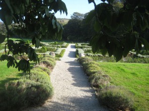 Public gardens at Trereife House, Cornwall