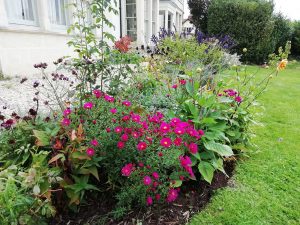 Long Ashton garden by Tim Lawrence Gardens